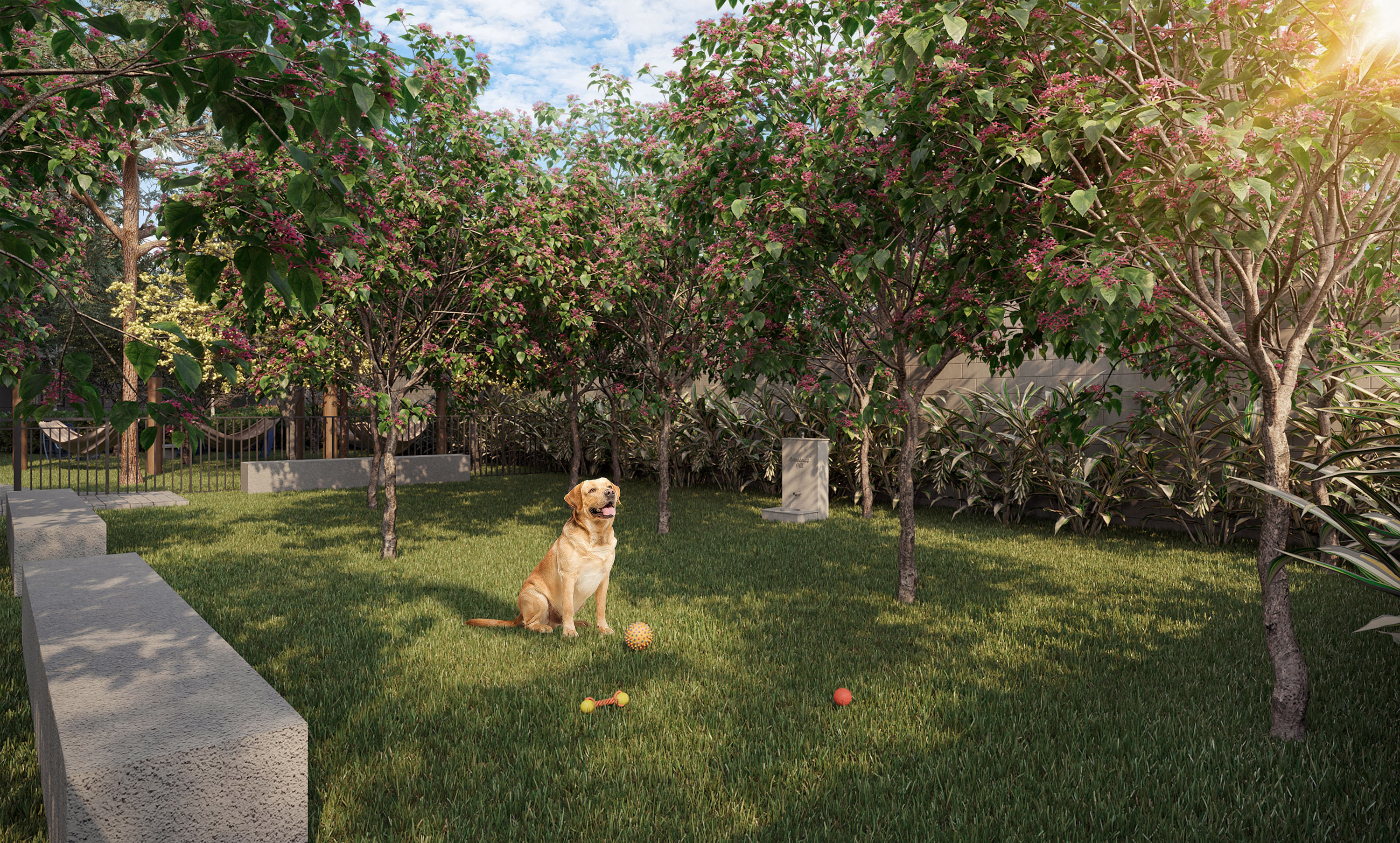 Conexão Barra Funda